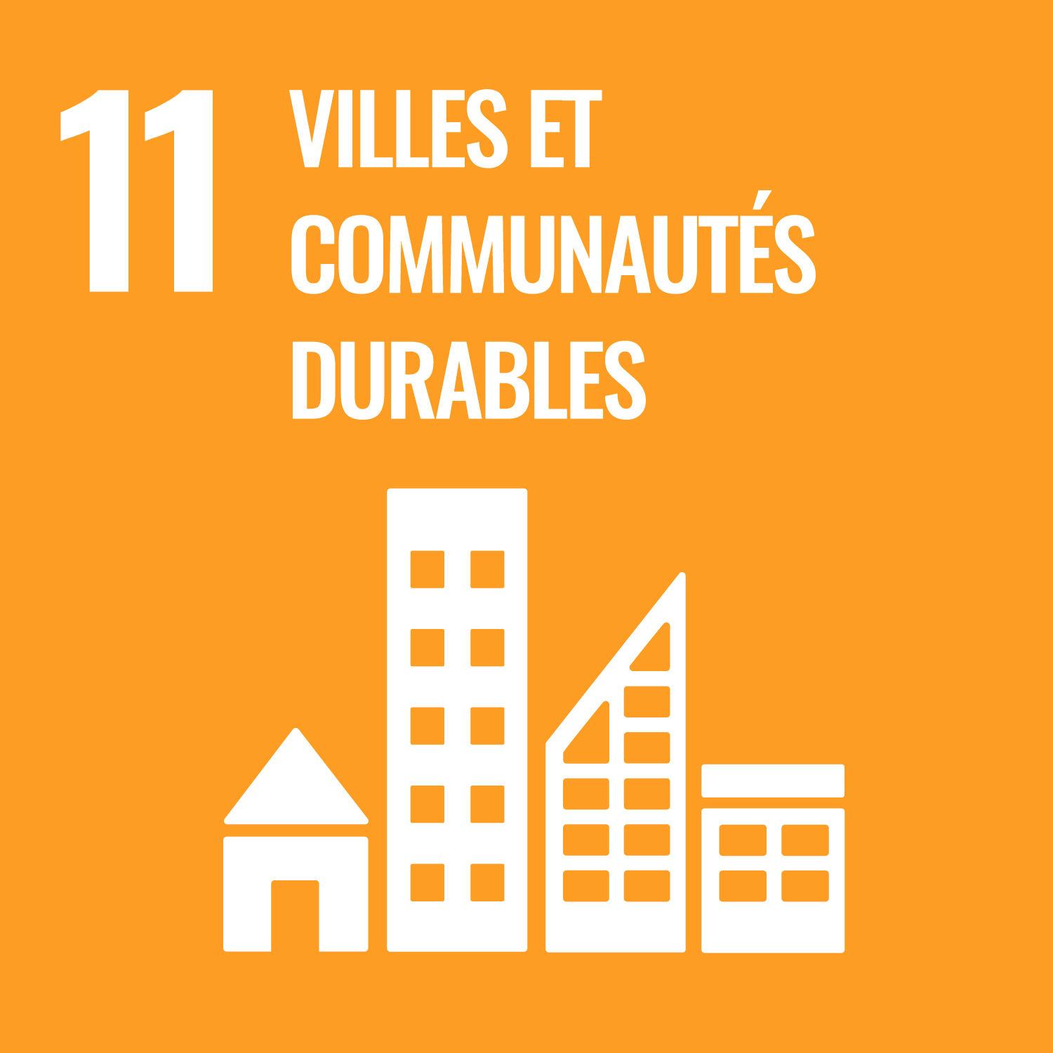 Objectifs de Développement Durable n°11