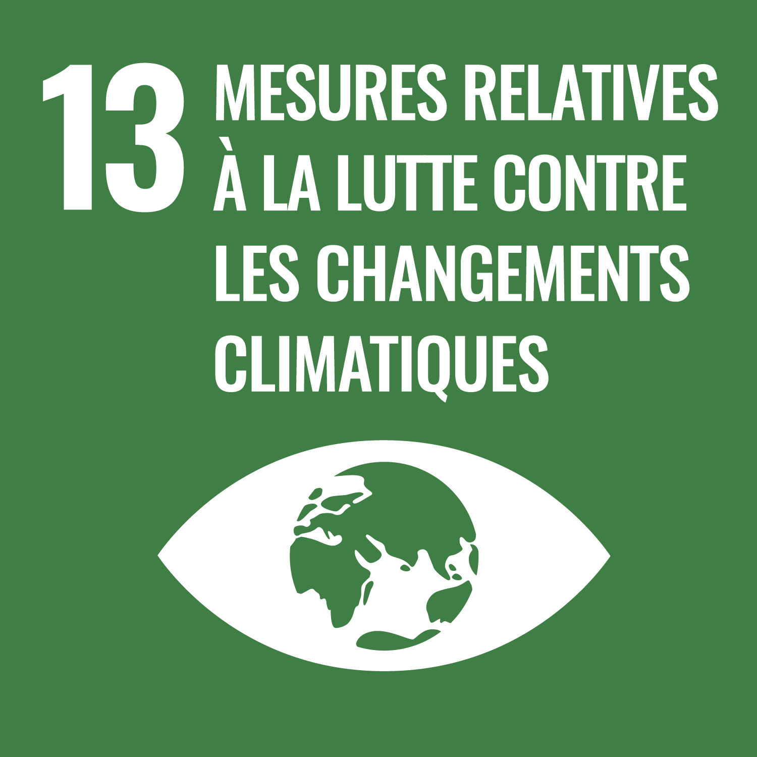 Objectifs de Développement Durable n°13