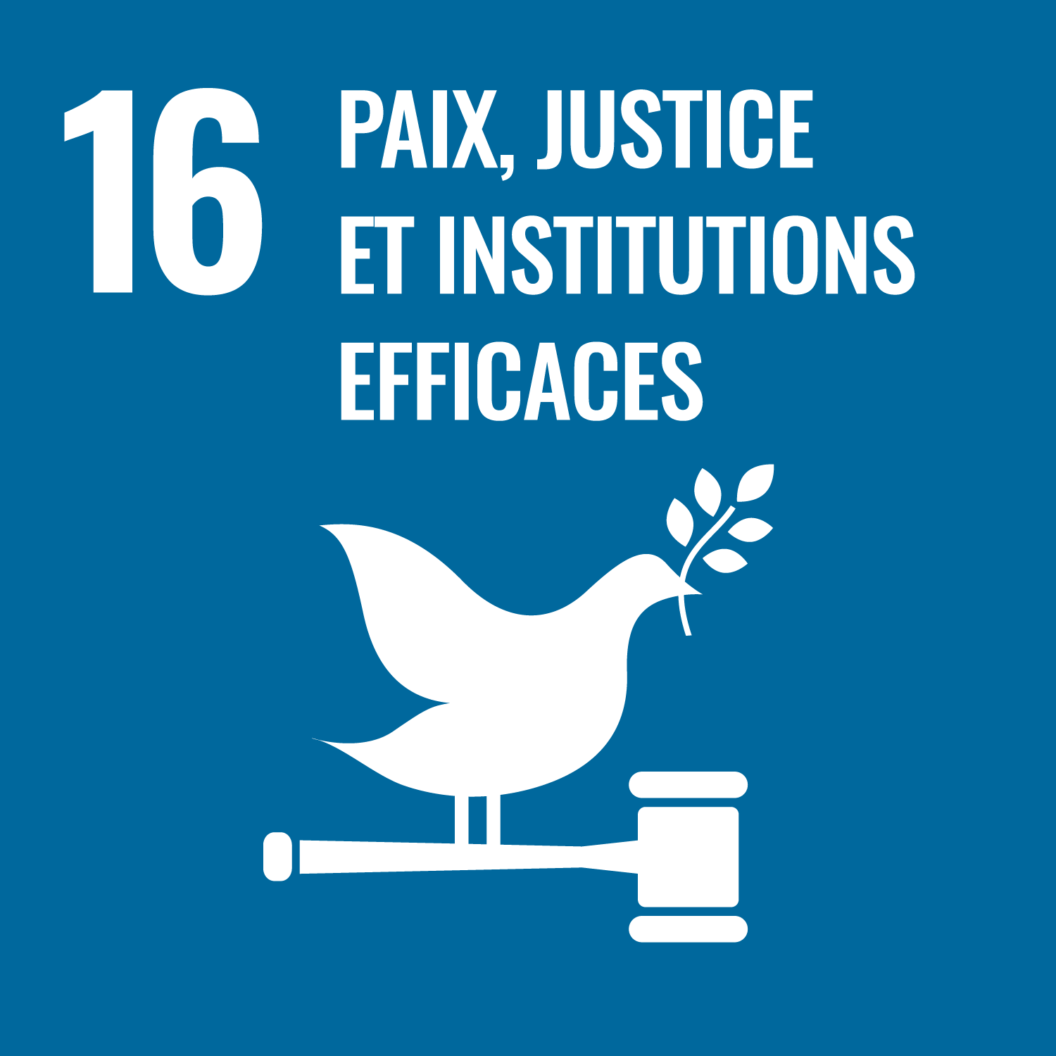 Objectifs de Développement Durable n°16