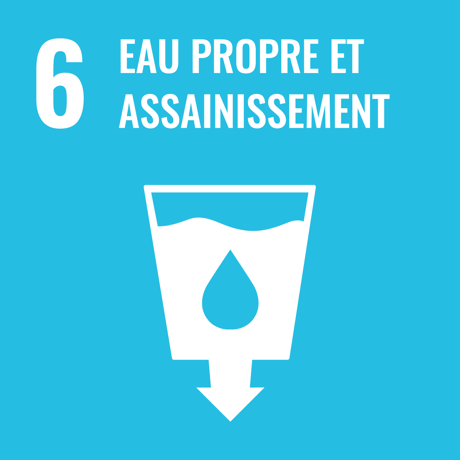 Objectifs de Développement Durable n°6