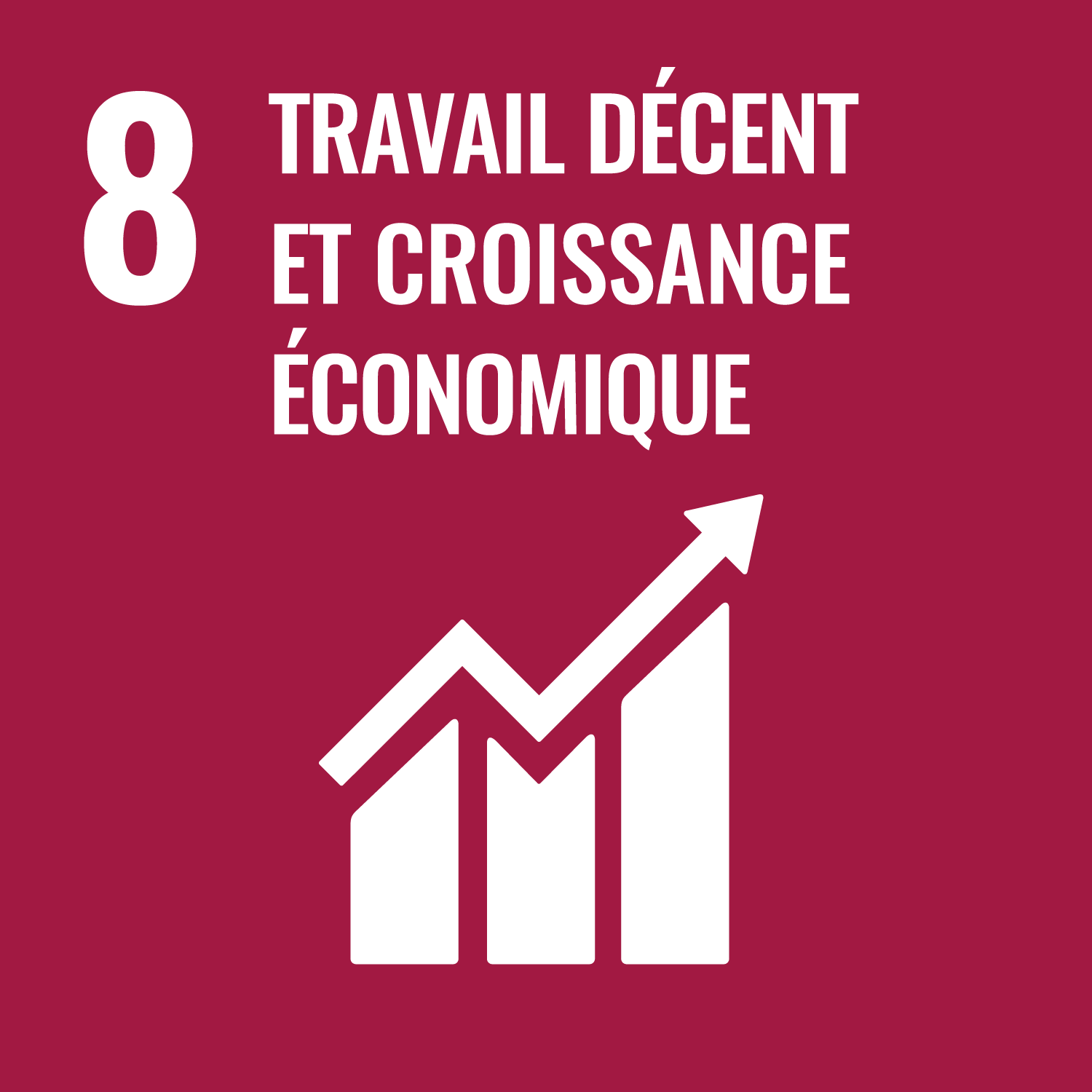 Objectifs de Développement Durable n°8